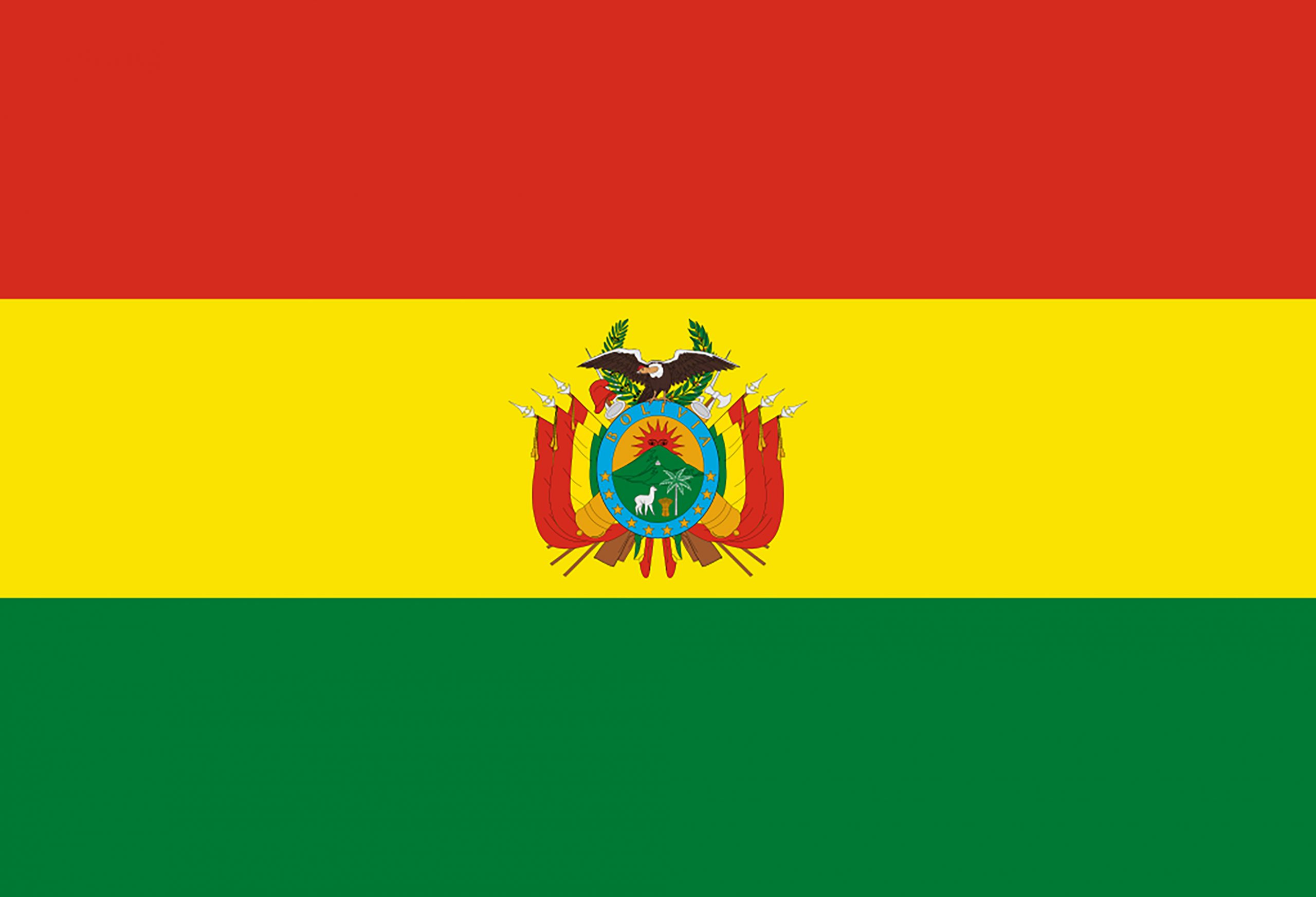 bolivia-flag-background-illustration-texture